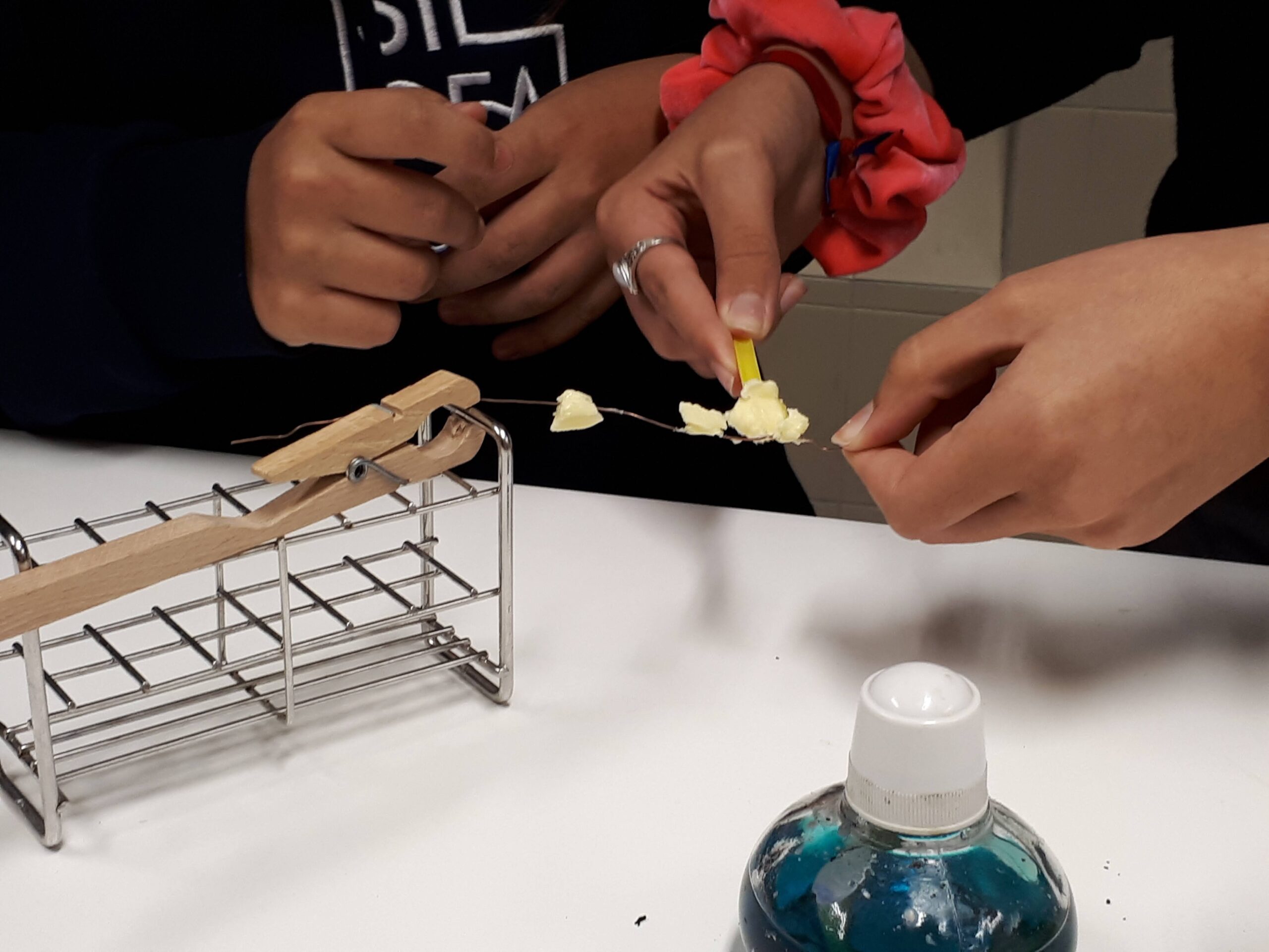 2021-05-19 – Aula de Ciências (7.º ano)