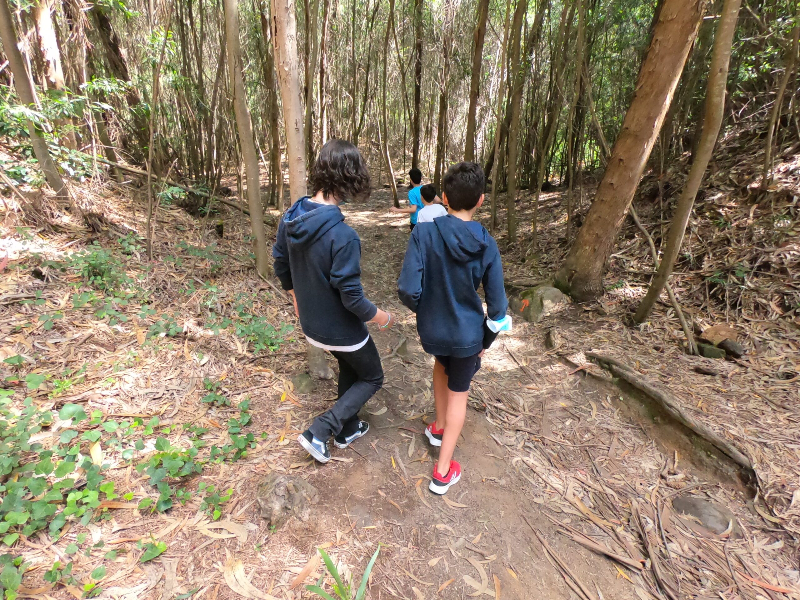 2021-06-22 – Barragem e Pisão (8.º Ano)