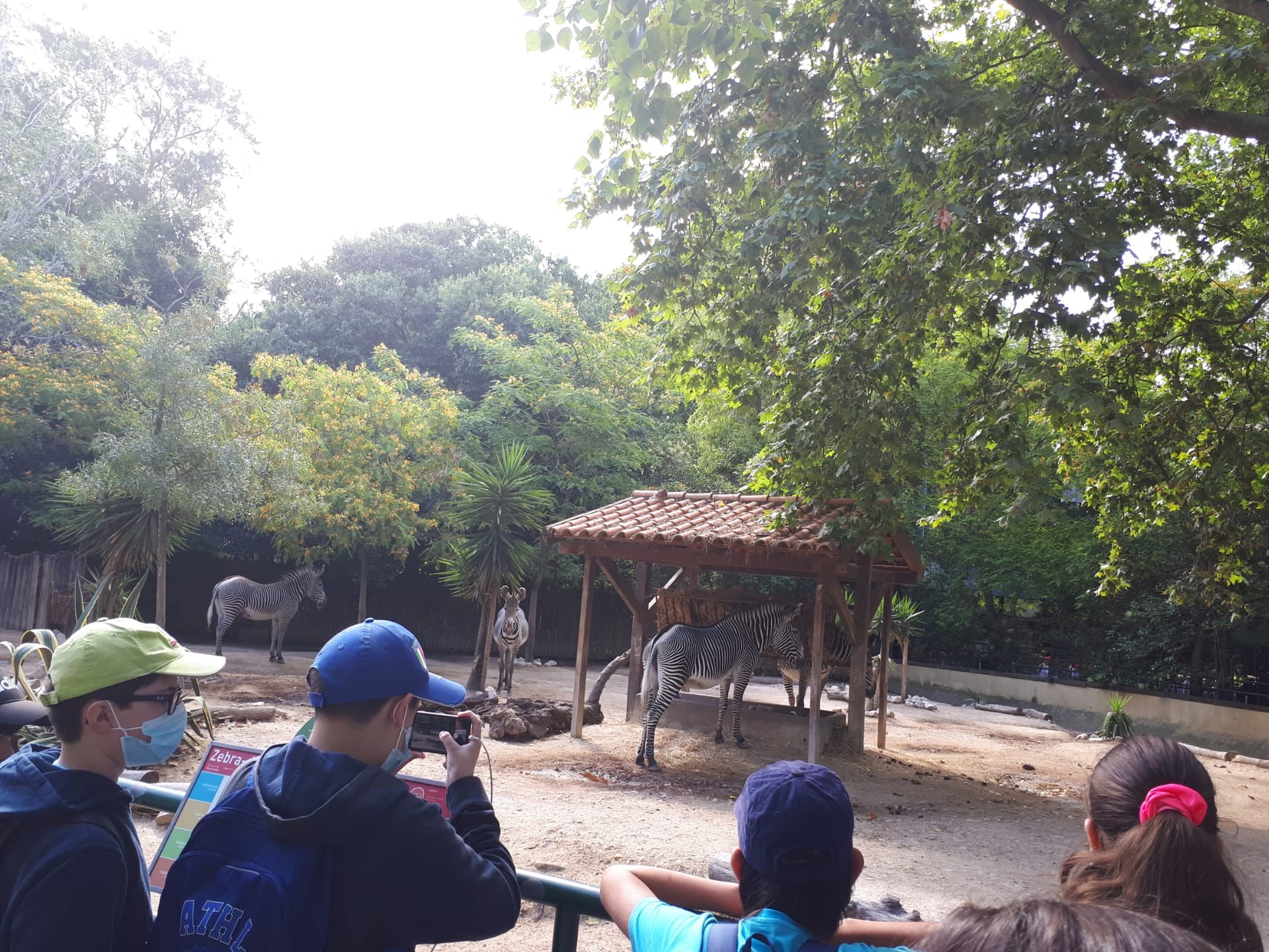 2021-06-22 – Visita ao Zoo (5.º ano)